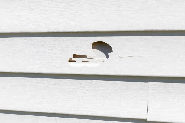 Historical Building Siding Restoration in El Sobrante, CA
